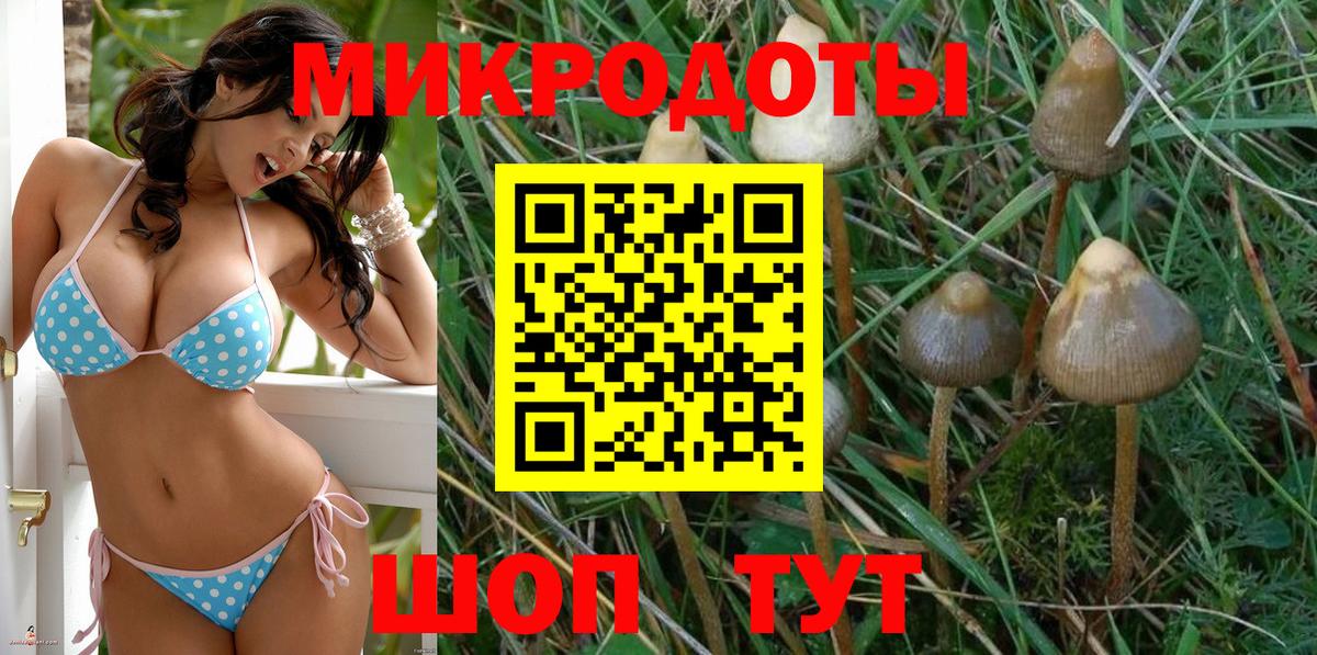 Псилоцибиновые грибы мицелий  Вход с VPN  Псилоцибиновые грибы GOLDEN TEACHER  Нововоронеж 